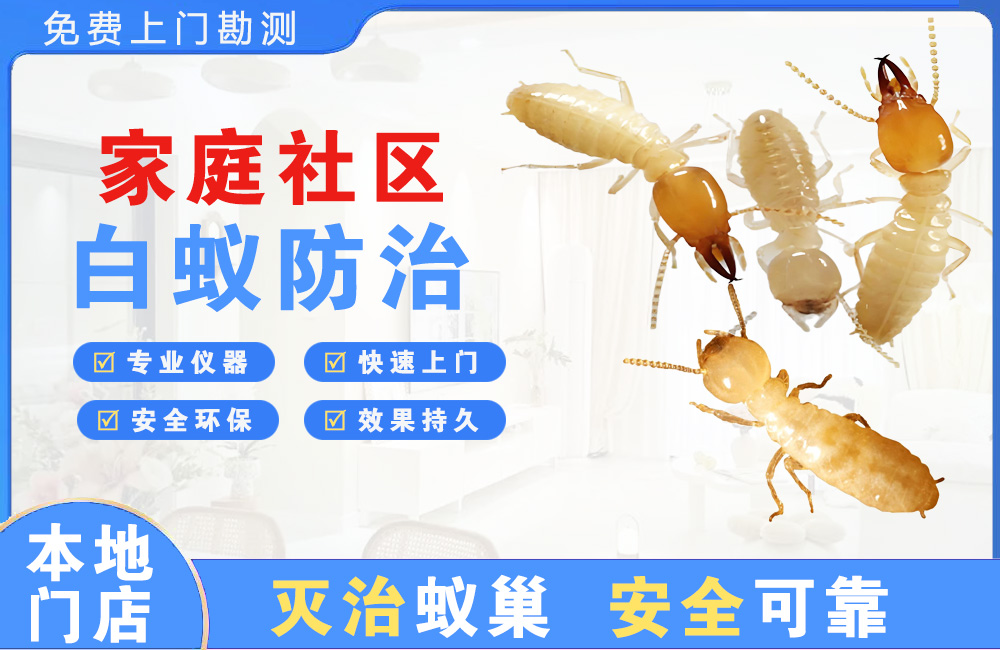 金坛家庭社区白蚁防治