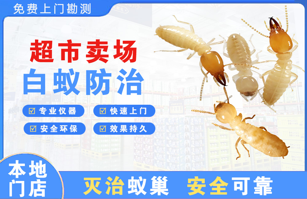 金坛超市卖场白蚁防治