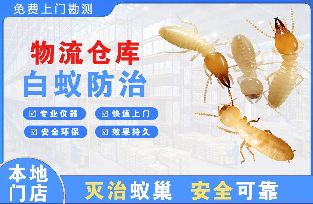 金坛物流仓库白蚁防治