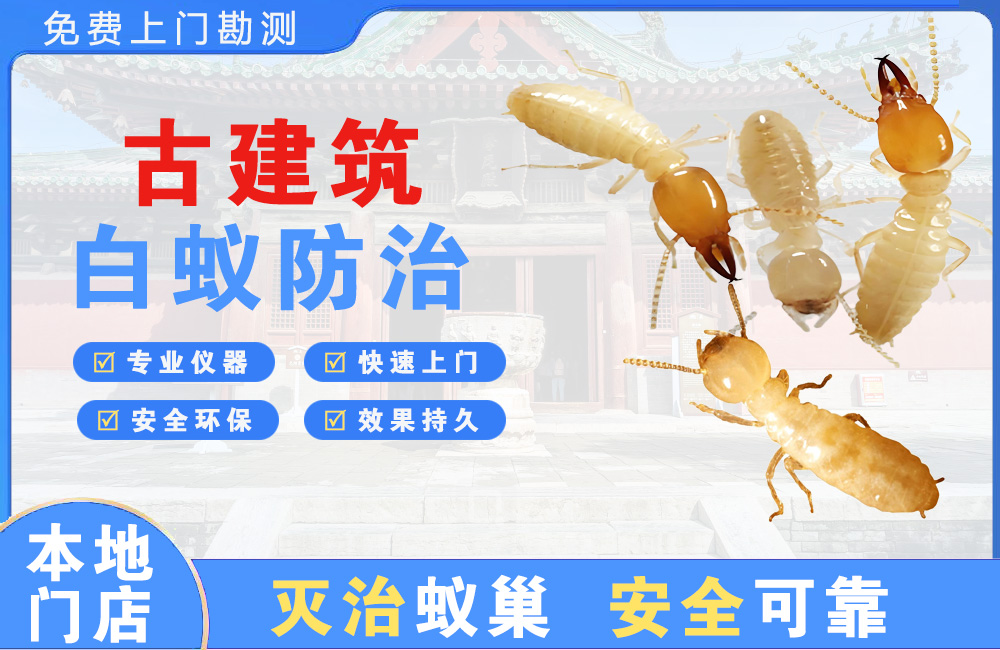 金坛古建筑白蚁防治