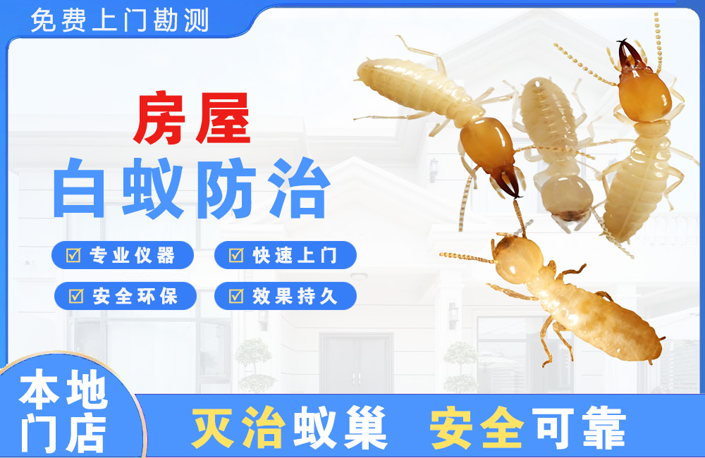 金坛房屋白蚁防治